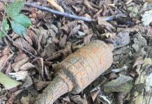 FOTO: Grenadă găsită în pădure, lângă Rasovița