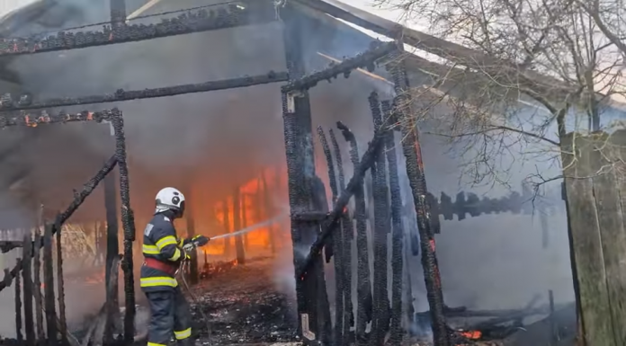 VIDEO| Zi de weekend dramatică, pentru o gospodărie din Tismana. O anexă a ars cu tot cu animalele dinăuntru