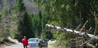 LA PAS PRIN GORJ – CARSTUL GORJEAN FASCINANT ȘI ÎN ANOTIMPUL AUTUMNAL