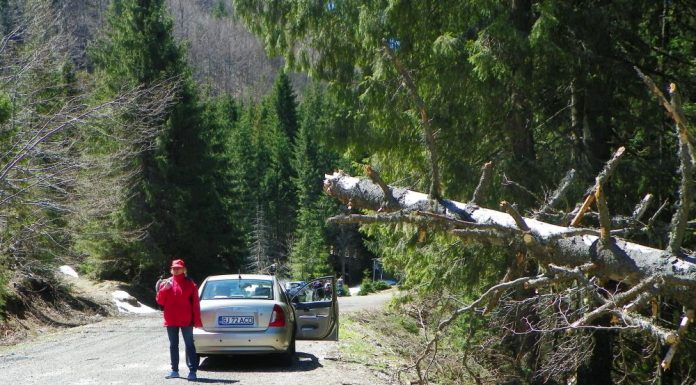 LA PAS PRIN GORJ – CARSTUL GORJEAN FASCINANT ȘI ÎN ANOTIMPUL AUTUMNAL