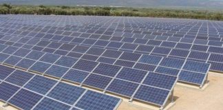 Mega-licitație pentru parcurile fotovoltaice de 450 MW. Contract de 375 milioane de euro!