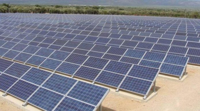 Mega-licitație pentru parcurile fotovoltaice de 450 MW. Contract de 375 milioane de euro!