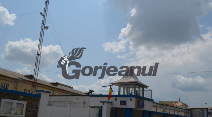 Dragoste de maraton la Penitenciarul Târgu Jiu! Deținuții au avut parte de aproape 200 de vizite intime, din partea consoartelor