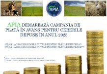 APIA a demarat campania de autorizare a plăților în avans