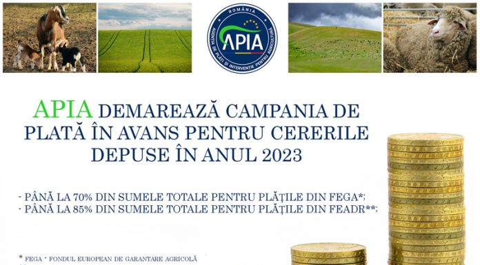 APIA a demarat campania de autorizare a plăților în avans