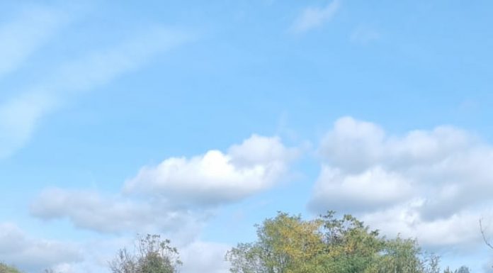 SGA Gorj decolmatează pârâul Ploștina