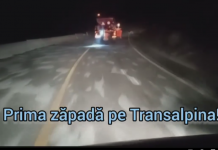 VIDEO| Prima zăpadă pe Transalpina!