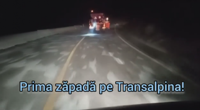 VIDEO| Prima zăpadă pe Transalpina!