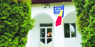 Post vacant de consilier, la Stănești