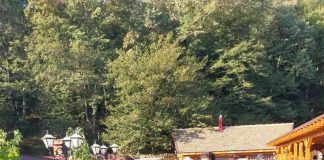 90 de copii și tineri din sistemul de protecție al DGASPC Gorj, implicați în proiectul ,,Pregătiți pentru viață”