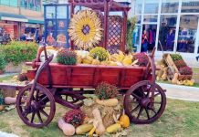 Ziua Recoltei, sărbătorită la Târgu Jiu (FOTO)