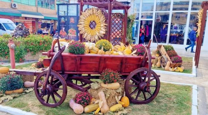 Ziua Recoltei, sărbătorită la Târgu Jiu (FOTO)