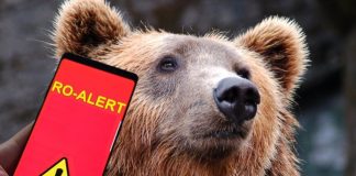 Zonă turistică din Gorj terorizată de urși! Mesaje Ro Alert aproape în fiecare seară!