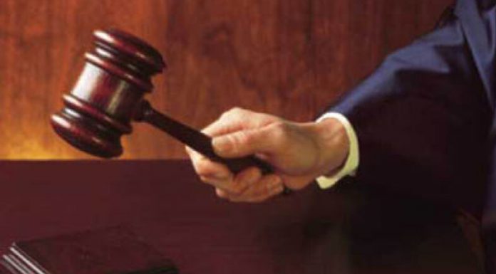 Pedeapsă pentru două drujbe furate!