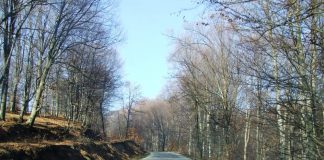 DIN NOU, PRIN ŢINUTUL SOHODOLULUI IZVARNEI DE GORJ