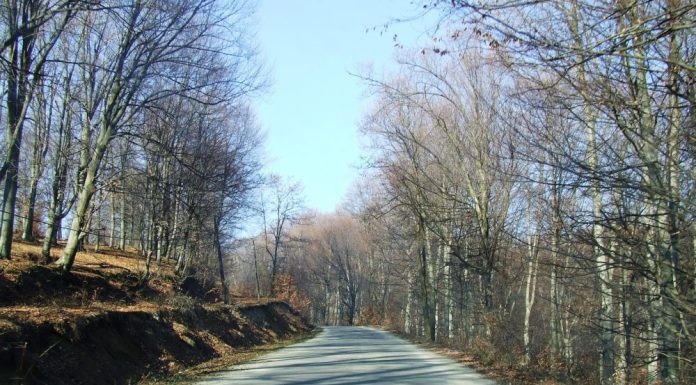 DIN NOU, PRIN ŢINUTUL SOHODOLULUI IZVARNEI DE GORJ