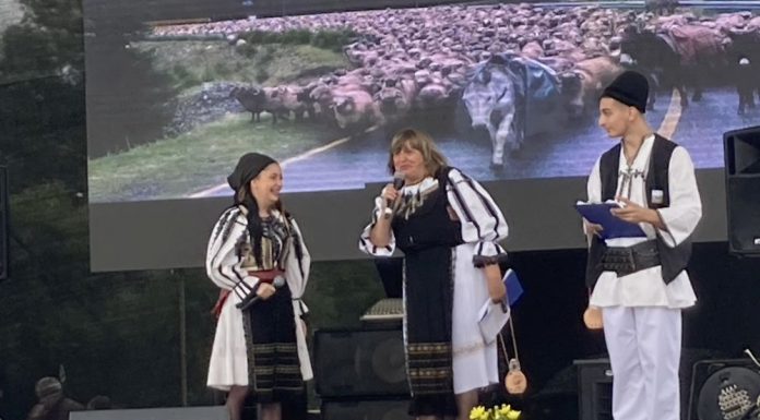 Alexandra Giurca, de la „Vocea României” la Festivalul Tocanului!