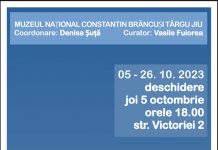 Trei artiști de renume vor expune joi, la Muzeul Național ”Constantin Brâncuși”