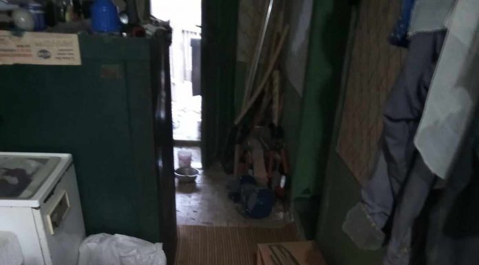 FOTO| Azi-noapte: Un urs a intrat ÎNTR-O CASĂ din Alimpești!