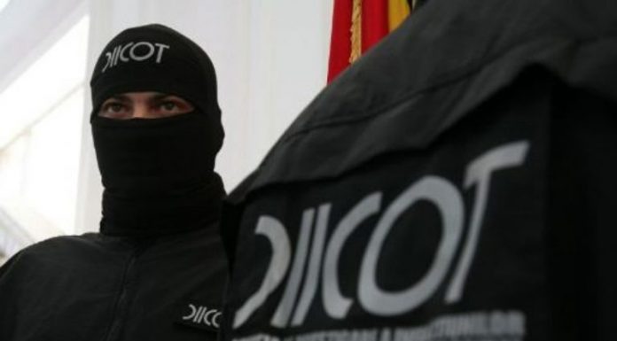 Trei frați din Rovinari, într-una dintre cele mai puternice grupări de interlopi din țară