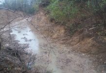 FOTO, Țicleni: Pârâu colmatat până la dispariție. Lucrări SGA