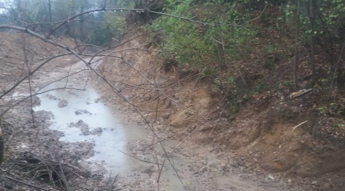 FOTO, Țicleni: Pârâu colmatat până la dispariție. Lucrări SGA