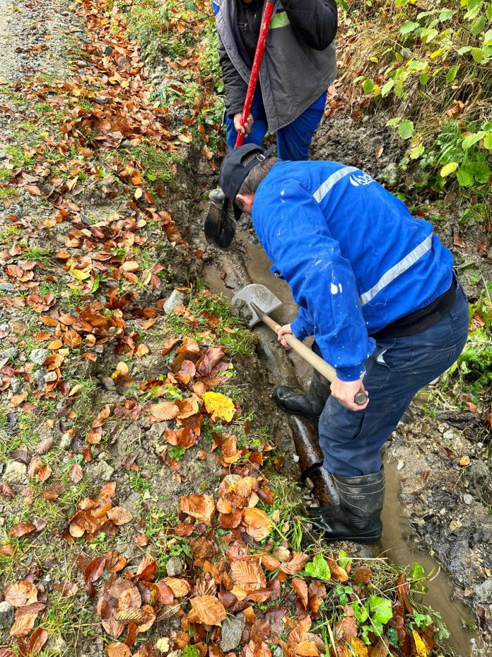 7fb0f210-bfdf-49cd-8036-6564b1d45704