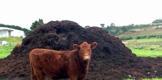 Agricultura pe înțelesul tuturor – Gunoiul de grajd – o comoară a fermierilor