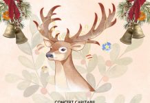 Concert caritabil, pe 10 decembrie, la Târgu Jiu