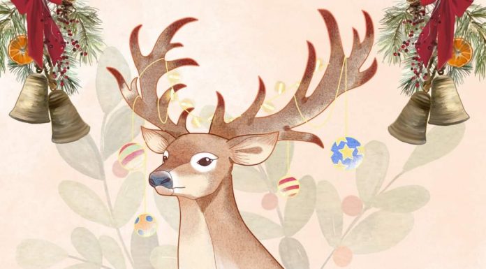 Concert caritabil, pe 10 decembrie, la Târgu Jiu