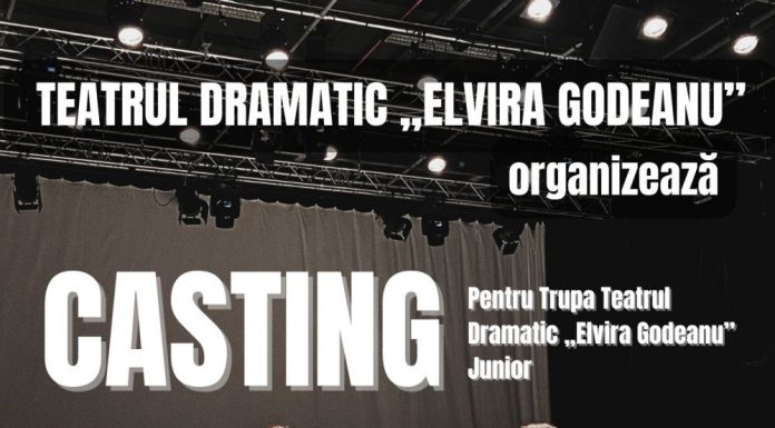 Teatrul din Târgu Jiu organizează casting pentru trupa de juniori
