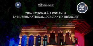 Acces gratuit la Muzeul Brâncuși, de 1 Decembrie