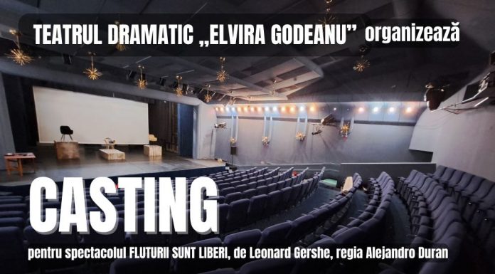 Teatrul ”Elvira Godeanu” organizează casting pentru un nou spectacol
