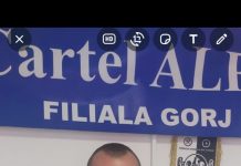 Grevă japoneză la Minprest. Lider CEO: Guvernul face economii pe sănătatea noastră