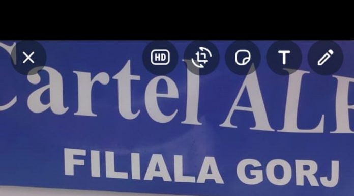 Grevă japoneză la Minprest. Lider CEO: Guvernul face economii pe sănătatea noastră