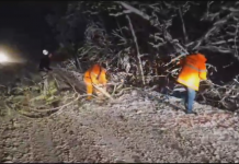 VIDEO| Ninsoare și trafic îngreunat pe Bujorăscu. Mașini cu anvelope de vară