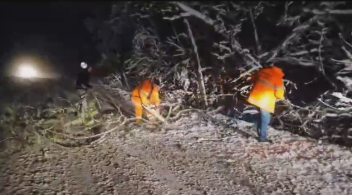 VIDEO| Ninsoare și trafic îngreunat pe Bujorăscu. Mașini cu anvelope de vară