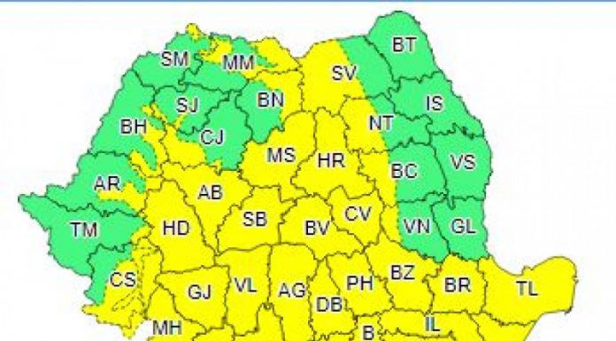 Cod galben de vreme rea