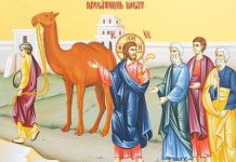 Viaţa Spirituală – Viaţa Spirituală – Dumnezeu ne arată că pentru a moșteni viața cea veșnică, trebuie să păzim unele porunci, dar pentru a fi desăvârșiţi, trebuie să dăruim din ceea ce avem şi săracilor!