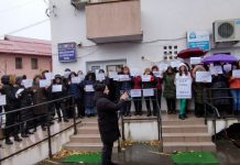 Grevele au fost suspendate