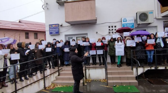 Grevele au fost suspendate