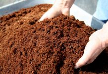 Agricultura pe înțelesul tuturor – Gunoiul de grajd – o comoară a fermierilor