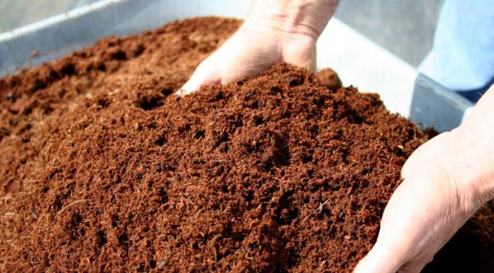 Agricultura pe înțelesul tuturor – Gunoiul de grajd – o comoară a fermierilor