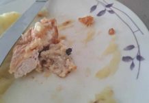 Mâncare cu muște pentru elevii cazați la căminul Colegiului ,,Spiru Haret” Târgu Jiu. Amenzi de la DSV și DSP