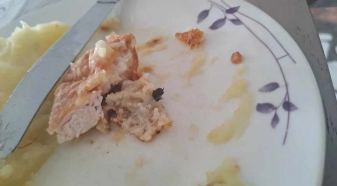 Mâncare cu muște pentru elevii cazați la căminul Colegiului ,,Spiru Haret” Târgu Jiu. Amenzi de la DSV și DSP