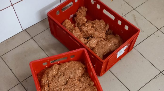 FOTO| Stănești: Carmangerie amendată și închisă temporar