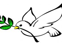 OLIMPISMUL – Spirit antic şi etern, creator de frumuseţe, de măreţie şi adevăr