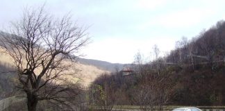 Hivernale – Prin parcurile naţionale de pe Jiul de Sus