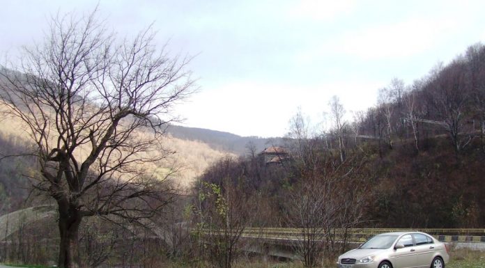 Hivernale – Prin parcurile naţionale de pe Jiul de Sus