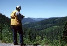 Legea pensiilor ar putea ajunge pe masa CCR